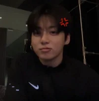 Jeon Jungkook 