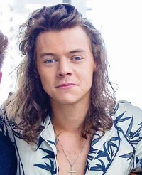 Harry Styles 2015