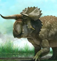 Nasutoceratops Debut