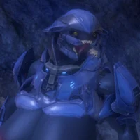 Minor Sangheili