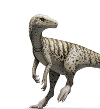 Herrasaurus ischigua