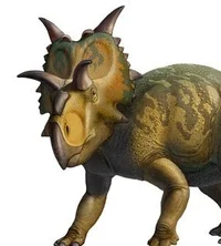 Xenoceratops foremos