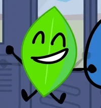 leafy bfdi