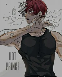 Shoto todoroki 