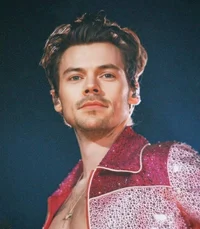 Harry Styles 