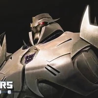 Megatron TFP