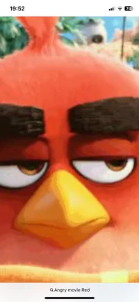 Red Angry birds 