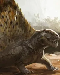 Dimetrodon