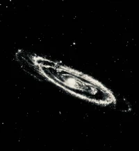 01 - KATSEYE DIVIDER