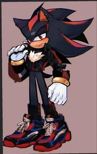 Shadow The Hedgehog 