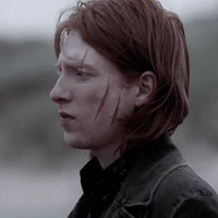 Bill Weasley 