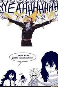 Cockatoo Mayhem Crew