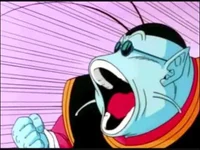 King Kai-TFS