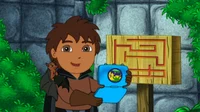 Go Diego go 