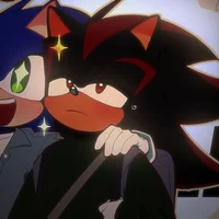 SHADOW T HEDGEHOG 