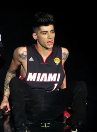 Zayn Malik - 2013