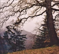 The Great Entity War