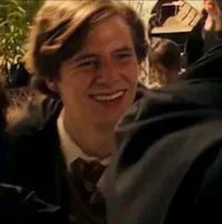 Remus lupinnn 