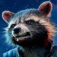 Rocky Raccoon