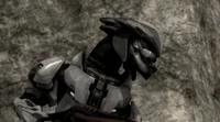 Sangheili Elite