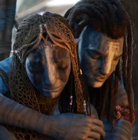 Parents of the sully