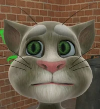Old Talking Tom