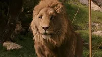 aslan