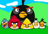 The Angry Birds 