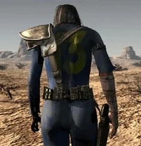 Vault Dweller 
