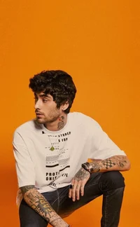 Zayn Malik - 2019
