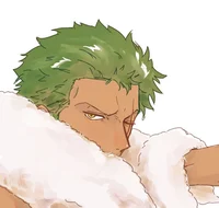 Roronoa Zoro 