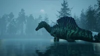 Spino Pack