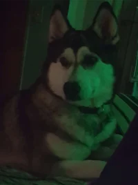 Maddy