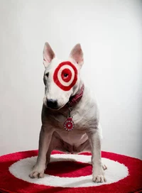 Target Dog
