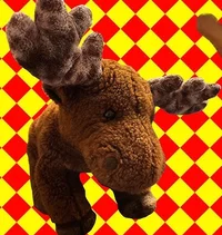 Mister Moose