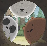 WE BARE BEARS
