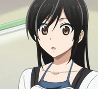 Sahoto Ashisu