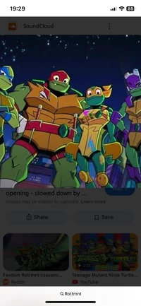 ROTTMNT Rp