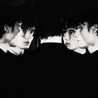 Knights of Walpurgis