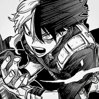 MHA - Shoto Todoroki