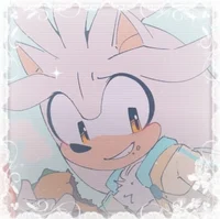 SILVER T HEDGEHOG 