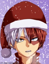 Shoto Todoroki 