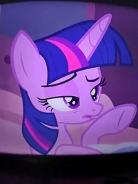 Princess twilight 