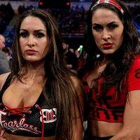 The Bella Twins
