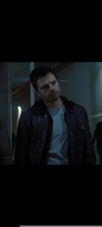 Sebastian Stan 