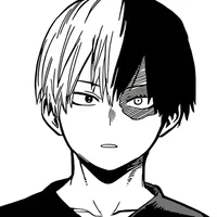 Shoto Todoroki 
