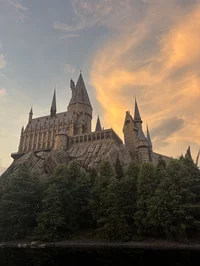 Hogwarts facetime 