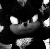 SHADOW THE HEDGEHOG