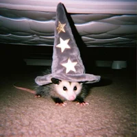 Possum Wizard