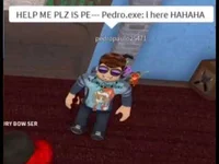 Pedro EXE